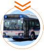 Buses in operation