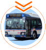 Buses in operation